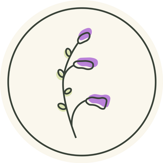 Gift Card to Native Utah Plants
